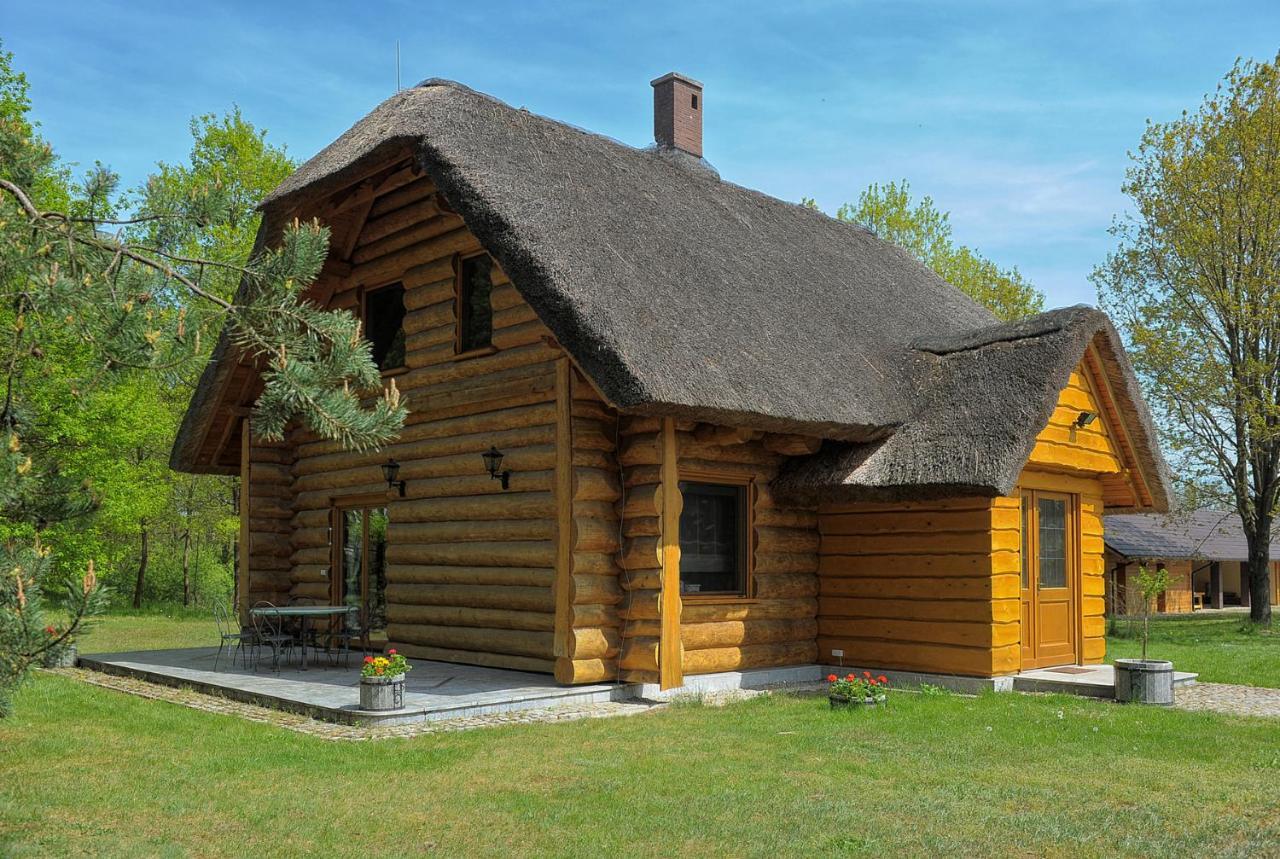 Dom Pod Sosnami Villa Gryżyna Exterior foto