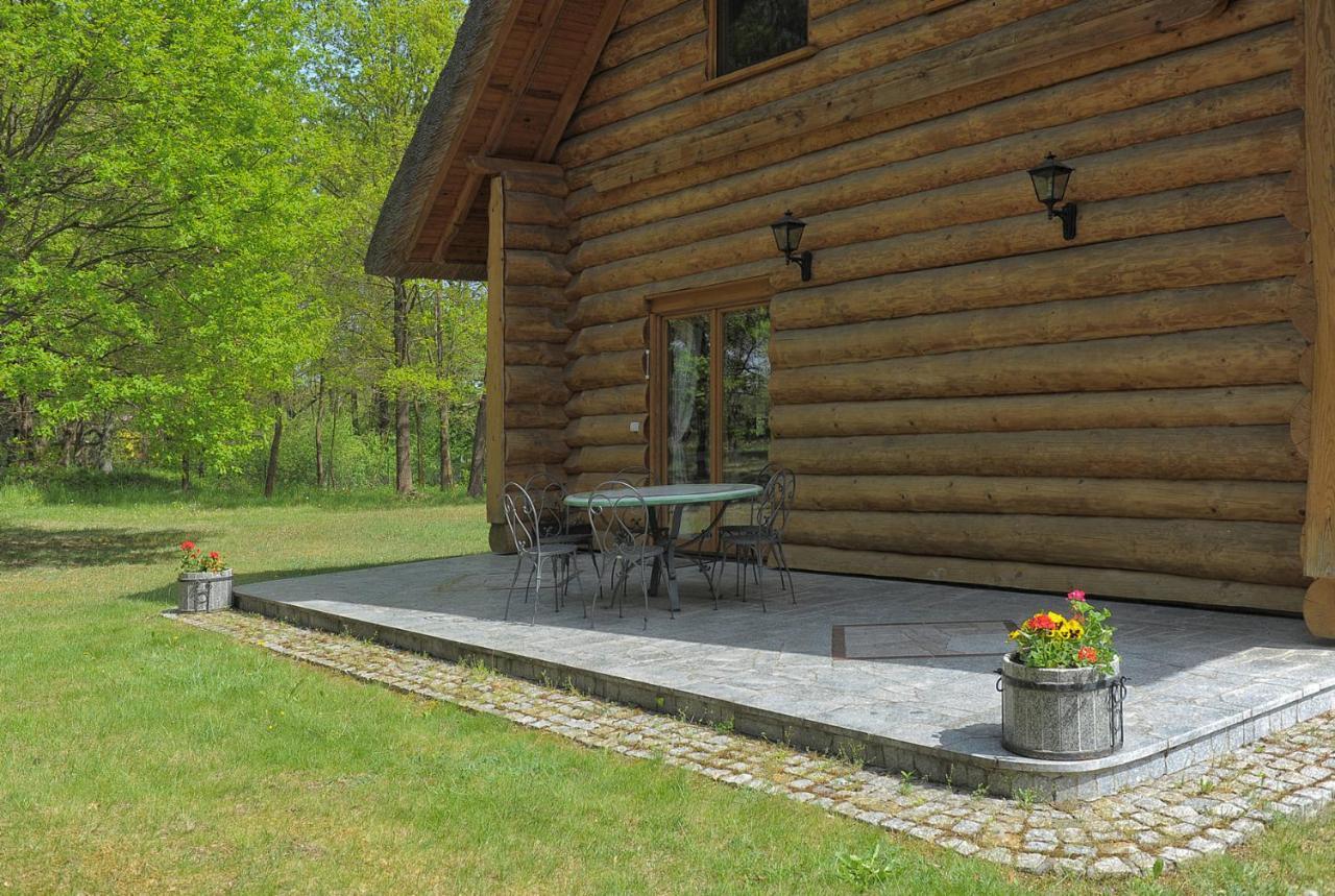 Dom Pod Sosnami Villa Gryżyna Exterior foto