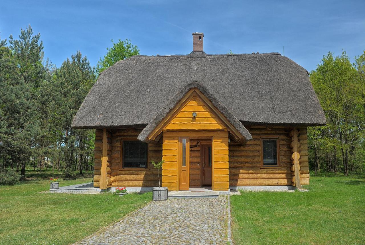 Dom Pod Sosnami Villa Gryżyna Exterior foto
